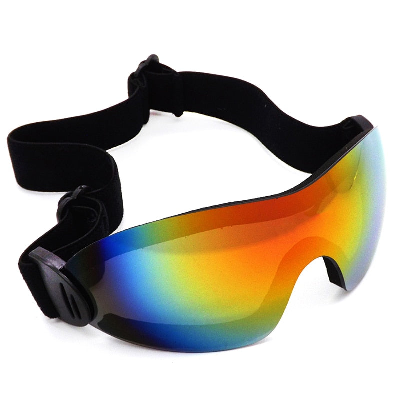 Eyewear Ski Goggles for Men and Women