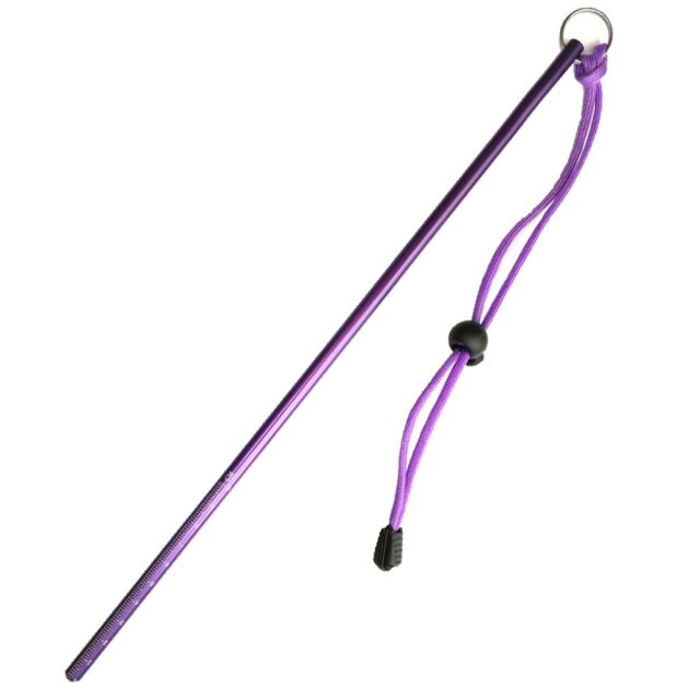 Scuba Diving Lobster Stick